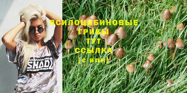 трава Чита