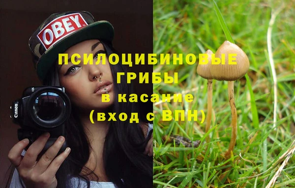 трава Чита
