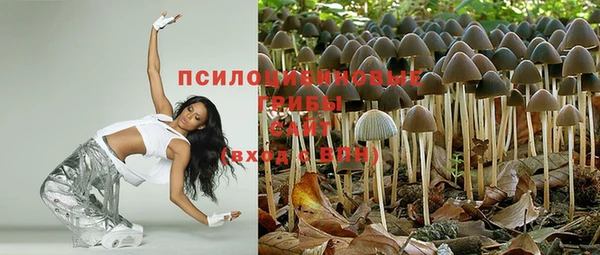трава Чита