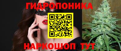 прущие грибы Волжск