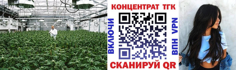 дарнет шоп Ефремов Дистиллят ТГК концентрат