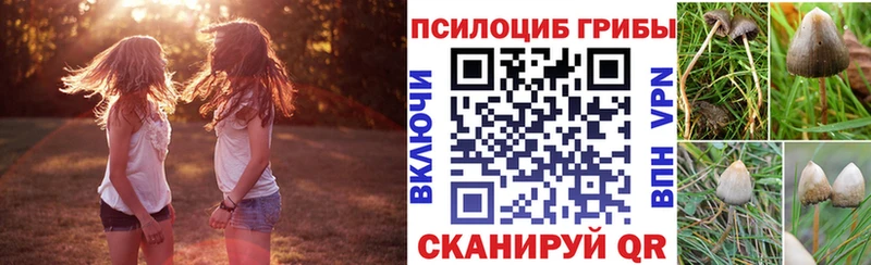сколько стоит  Ефремов  Псилоцибиновые грибы ЛСД 