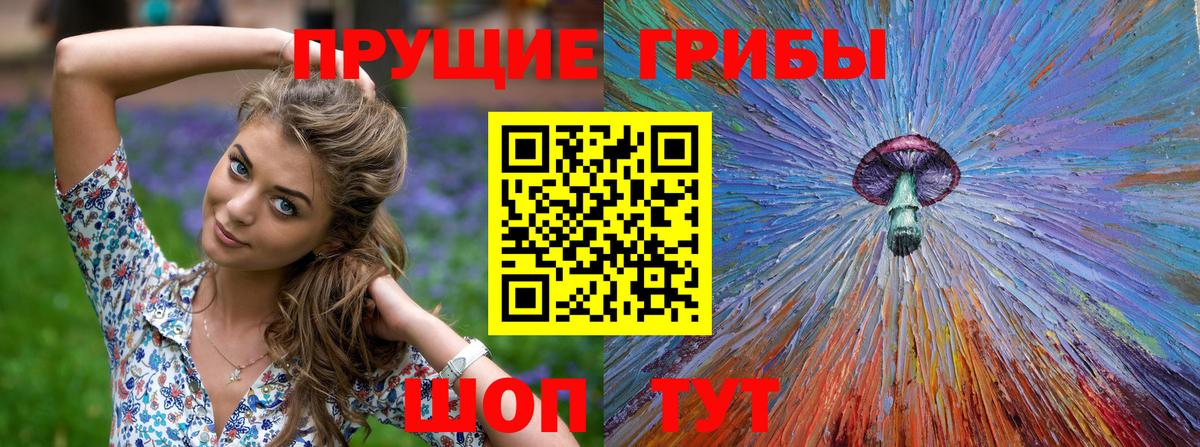 Ефремов  Галлюциногенные грибы мицелий  наркошоп  Вход с VPN 