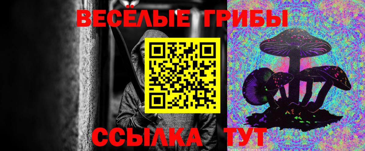 Галлюциногенные грибы ЛСД Ефремов